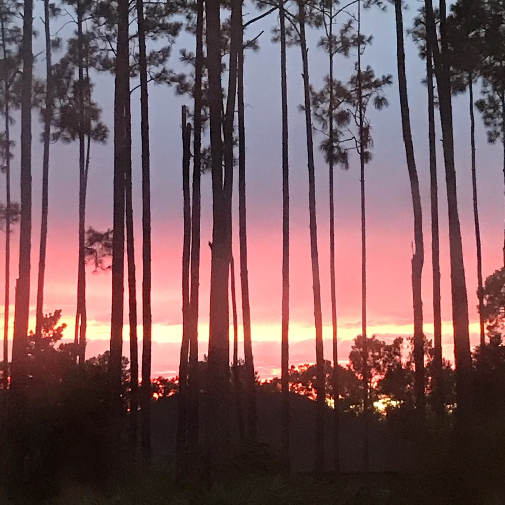 Meet your Posher, Kaitlyn